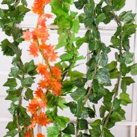 uploads/erp/collection/images/Home Garden/CongDing/XU0610922/img_b/XU0610922_img_b_1